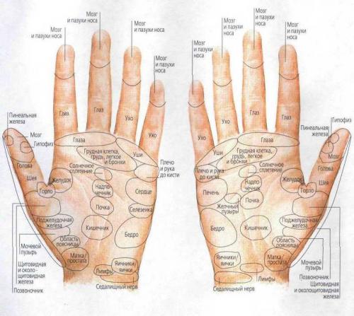 Точки для массажа. Точечный массаж — скорая помощь организму