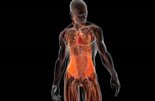 Как вернуть интерес мужа к жене советы психолога. Взаимопонимание и забота – важные составляющие брака 01