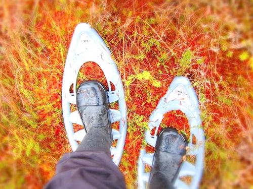 Что такое приключенческий тур. Активности и развлечения в Беларуси