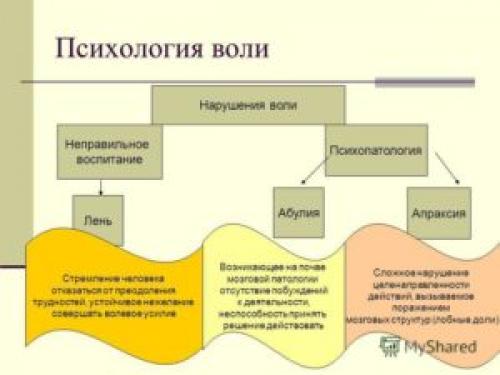 Воля в психологии это. Определение понятия воли в психологии, свойства и структура