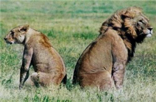 Характером не сошлись. Не сошлись характерами