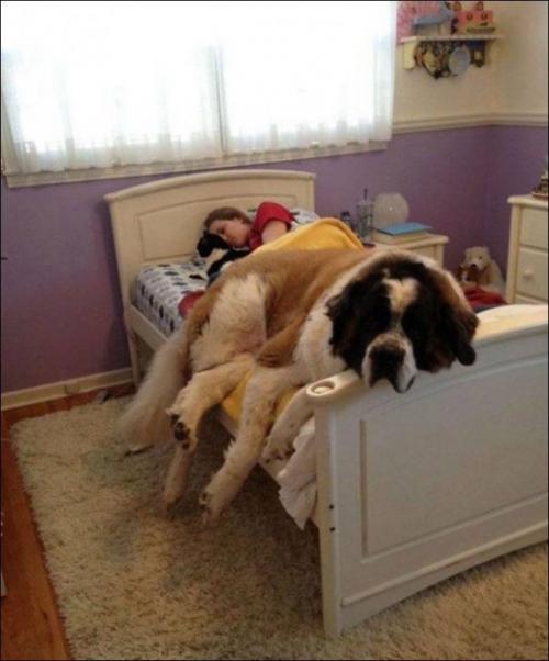 Ну возьми меня на ручки. Возьми меня на ручки! Я же милый…