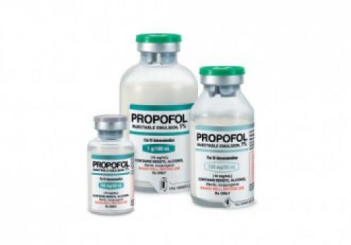 Как ввести кошку в транс. Гипноз животных 01