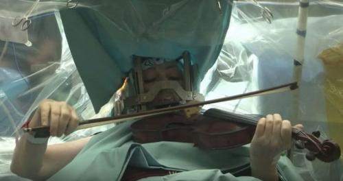 Интересные факты про мозг для детей. 20 интересных фактов и историй о человеческом мозге