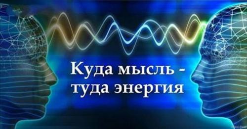 Факты о головном мозге. 10 необычных фактов о мозге, которые изменят ваш взгляд на жизнь 14