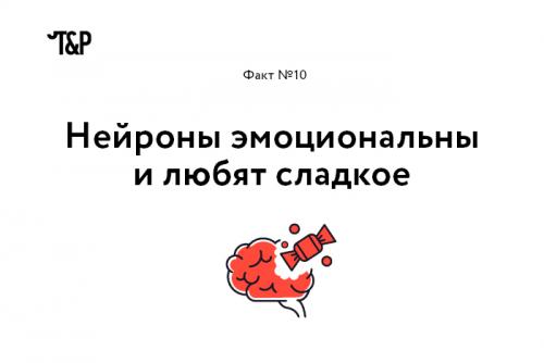 Интересные факты о мозге и нервной системе. Выражение «Нервные клетки не восстанавливаются» еще совсем недавно воспринималось, как непреложная истина. Однако, как оказалось, это не совсем так: ученые уже нашли, где лежат запасы новых нейронов (в гиппокампе и обонятельной луковице), и вовсю думают о том, как дополнительно стимулировать их восстановление.