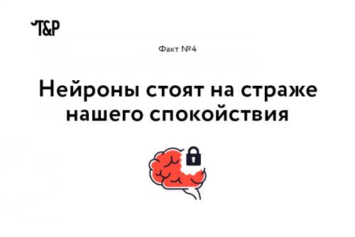 Интересные факты о мозге и нервной системе. Выражение «Нервные клетки не восстанавливаются» еще совсем недавно воспринималось, как непреложная истина. Однако, как оказалось, это не совсем так: ученые уже нашли, где лежат запасы новых нейронов (в гиппокампе и обонятельной луковице), и вовсю думают о том, как дополнительно стимулировать их восстановление.