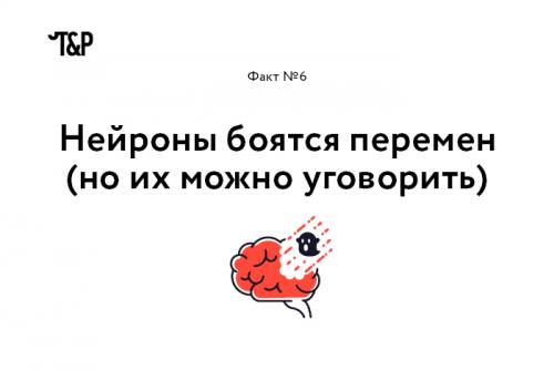 Интересные факты о мозге и нервной системе. Выражение «Нервные клетки не восстанавливаются» еще совсем недавно воспринималось, как непреложная истина. Однако, как оказалось, это не совсем так: ученые уже нашли, где лежат запасы новых нейронов (в гиппокампе и обонятельной луковице), и вовсю думают о том, как дополнительно стимулировать их восстановление.