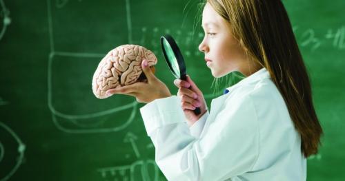 Факты о головном мозге. 10 необычных фактов о мозге, которые изменят ваш взгляд на жизнь 20