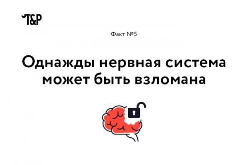 Интересные факты о мозге и нервной системе. Выражение «Нервные клетки не восстанавливаются» еще совсем недавно воспринималось, как непреложная истина. Однако, как оказалось, это не совсем так: ученые уже нашли, где лежат запасы новых нейронов (в гиппокампе и обонятельной луковице), и вовсю думают о том, как дополнительно стимулировать их восстановление.