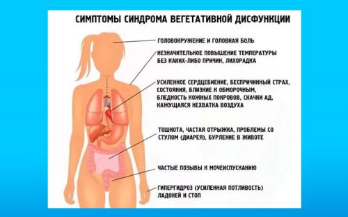 Приступы и обострения ВСД. Как проявляется обострение течение ВСД у пациента? 03