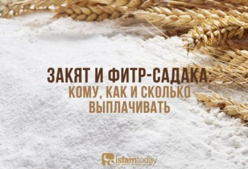 На каком пальце носят перстень мужчины мусульмане. Следуем Сунне: на каких пальцах нельзя носить кольца?