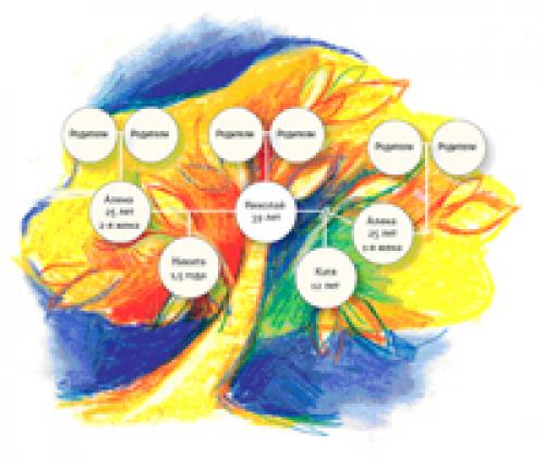 Ребенок от первого брака и новая жена. У каждого свое место