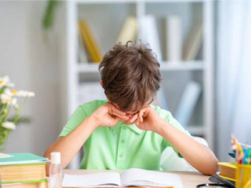 Как вернуть ребенку учебную мотивацию: эффективные методы 09