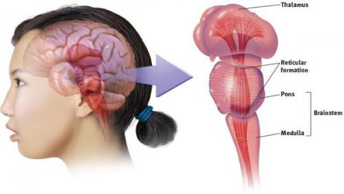 Советы родителям активных и гиперактивных детей. Гиперактивный ребенок: что делать и чего ждать родителям? 01