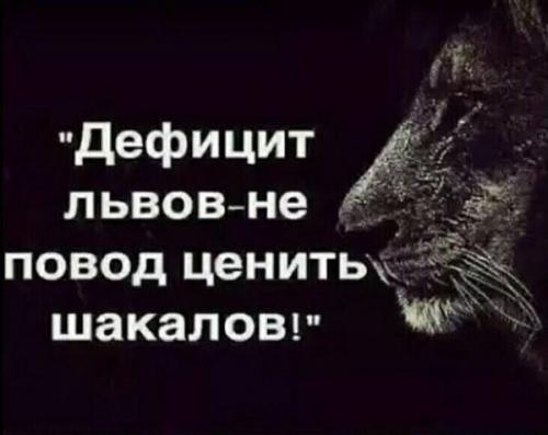 Мудрые высказывания про львов. Цитаты про львов