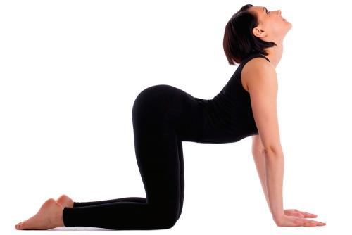 ТОП-30 упражнений для растяжки всего тела: полное руководство для начинающих и профессионалов 01