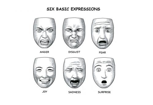 Базовые эмоции человека и их.. Система базовых эмоций Экмана 03