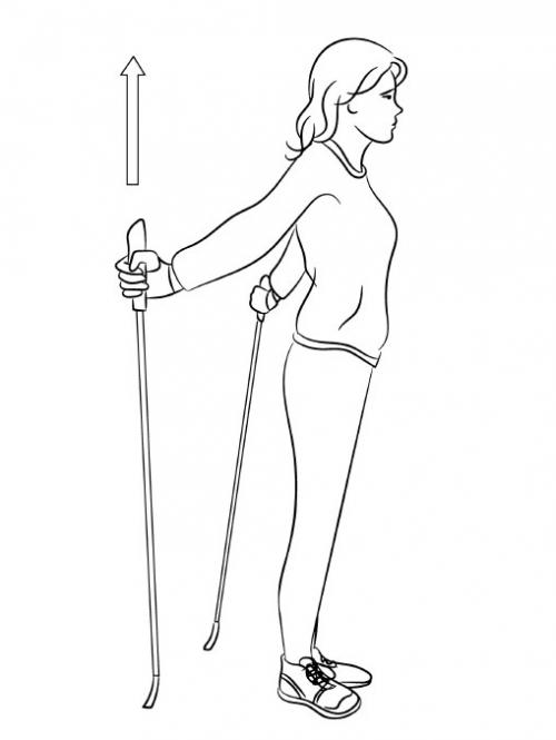 Как правильно разогреться перед выполнением наклона к носкам. Разминка перед занятиями скандинавской ходьбой