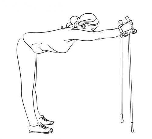 Как правильно разогреться перед выполнением наклона к носкам. Разминка перед занятиями скандинавской ходьбой