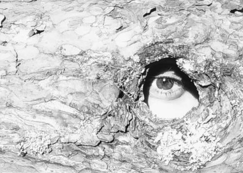 Лекция 6 чувства и эмоции. Понятие эмоций. Физиологические основы эмоций и чувств. 01