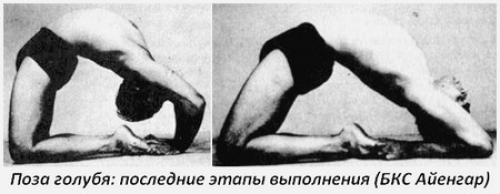 Поза голубя на санскрите. Поза голубя в йоге — Капотасана