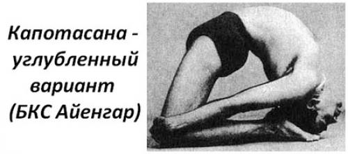 Поза голубя на санскрите. Поза голубя в йоге — Капотасана
