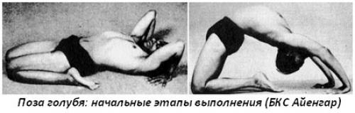 Поза голубя на санскрите. Поза голубя в йоге — Капотасана