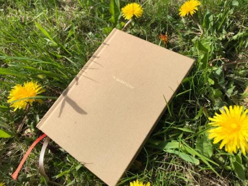 Неудобные вопросы самому себе. Челлендж редактора: 75 неудобных вопросов себе (которые меняют жизнь к лучшему)