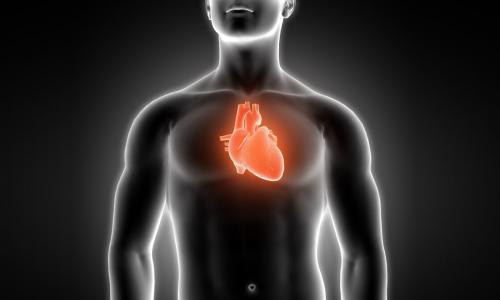 Что такое асан скорпион. Что такое поза скорпиона?