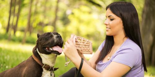 Как справиться с назойливыми соседями: практические советы 01