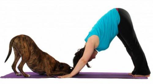 Йога для женщин после 45 лет. 5 самых полезных упражнений из йоги для женщин старше 45 лет