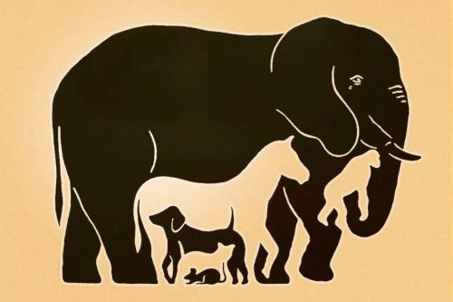 Упражнения на внимание для детей 12 лет. Задачи на внимание