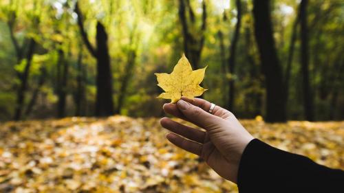 Что такое реперная точка полезно знать. Что такое реперные точки 01