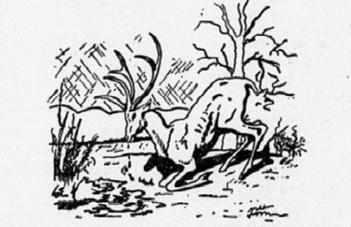 Упражнения на внимание для детей 12 лет. Задачи на внимание