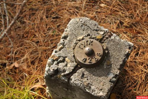 Типы геодезических пунктов. Геодезический пункт