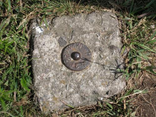 Типы геодезических пунктов. Геодезический пункт