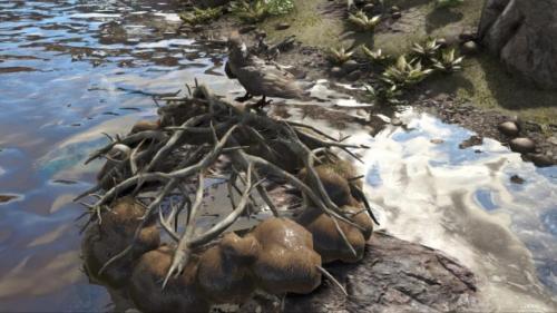 Как усыпить жабу. Опасны ли лягушки 19 Как усыпить жабу. Опасны ли лягушки 19