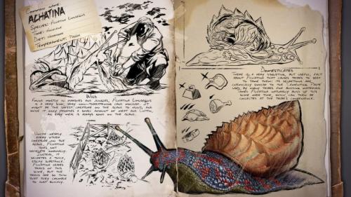 Как усыпить жабу. Опасны ли лягушки 20 Как усыпить жабу. Опасны ли лягушки 20