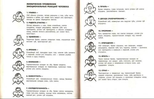 Психология человека по поведению и жестам. Что такое физиогномика? 04
