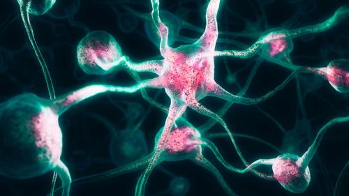 Как называется когда чувствуешь чужую физическую боль. Нейроны человечности: итальянский учёный рассказал, как и почему мы чувствуем чужую боль