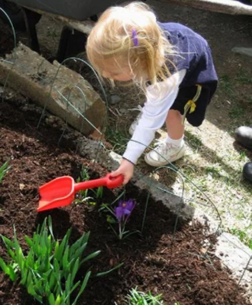 Узнай, как сделать садоводство интересным для своего мальчика 04
