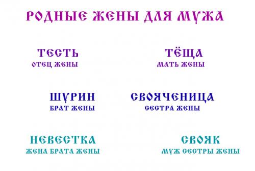 Кем приходятся дети от первых браков. Шурин, деверь, золовка, сноха и другие: как называются родственники 01