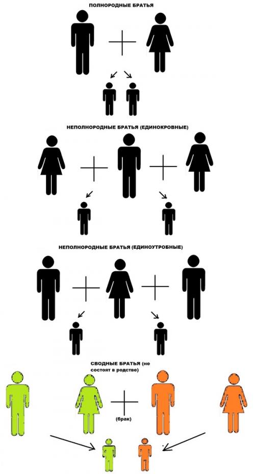 Дети от разных отцов. Сводные братья и сёстры: взгляд с позиции классической цивилистики.