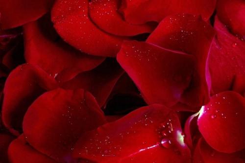 Какие игры могут быть полезными для пар, которые хотят улучшить свои сексуальные отношения. Топ-54 варианта внесения разнообразия в интимную жизнь с партнером