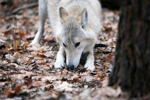 Боязнь перемен, как называется. Страх перемен! 04