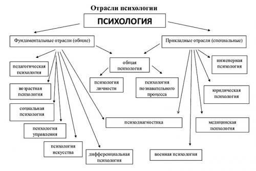 Описание главных разделов и отраслей психологии. Характеристика основных разделов и отраслей психологии 02 Описание главных разделов и отраслей психологии. Характеристика основных разделов и отраслей психологии 02