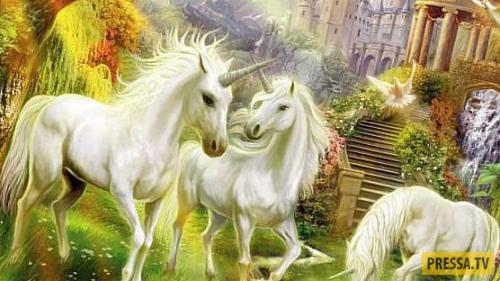 Единорог в христианстве. Единорог в Библии!