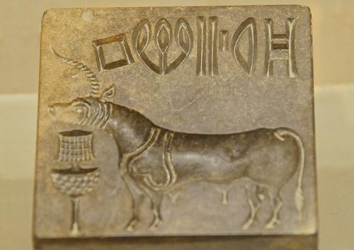 Единорог в жизни. Единороги – миф или реальность?