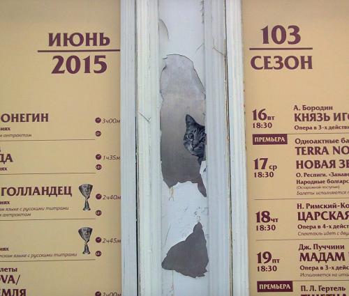 Какие игры могут способствовать развитию творчества и креативности пары. Разбудить творчество: 19 практик и упражнений для взрослых